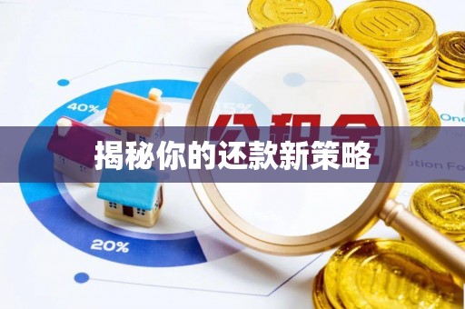 八公山揭秘你的还款新策略