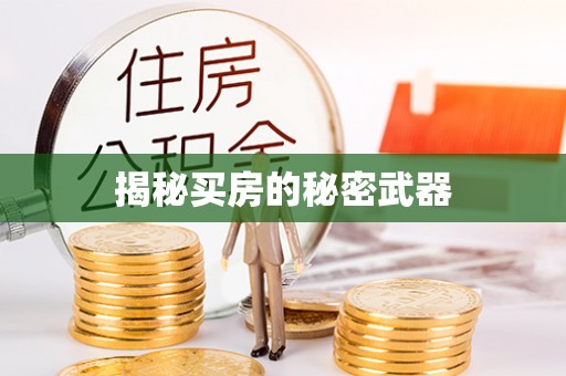 八公山揭秘买房的秘密武器