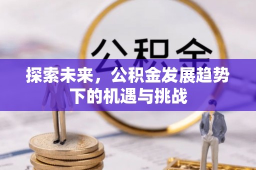 八公山探索未来，公积金发展趋势下的机遇与挑战