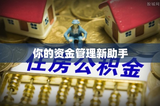 八公山你的资金管理新助手