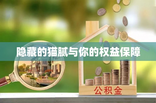 八公山隐藏的猫腻与你的权益保障