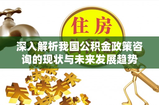 八公山深入解析我国公积金政策咨询的现状与未来发展趋势