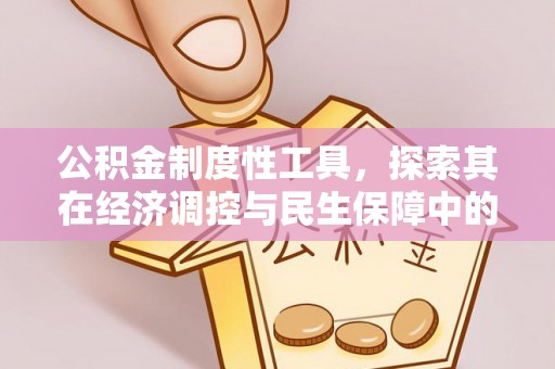 八公山公积金制度性工具，探索其在经济调控与民生保障中的重要作用