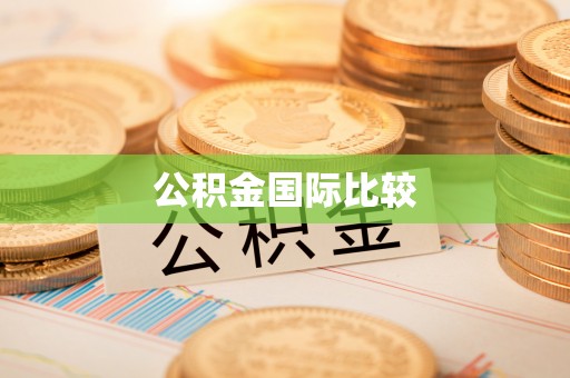 八公山公积金国际比较